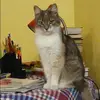 Отзыв от Ангелина Туманова